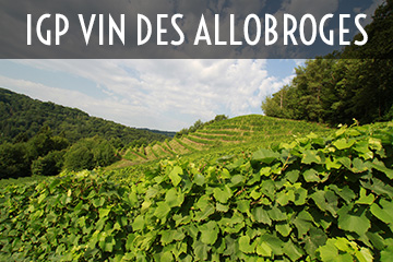 IGP Vins des Allobroges